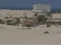 Sacudiendo un agujer ...