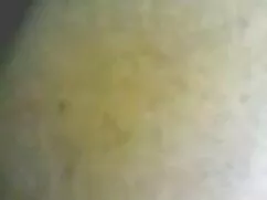 La anfitriona seduce ...