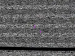 Las actrices del pro ...